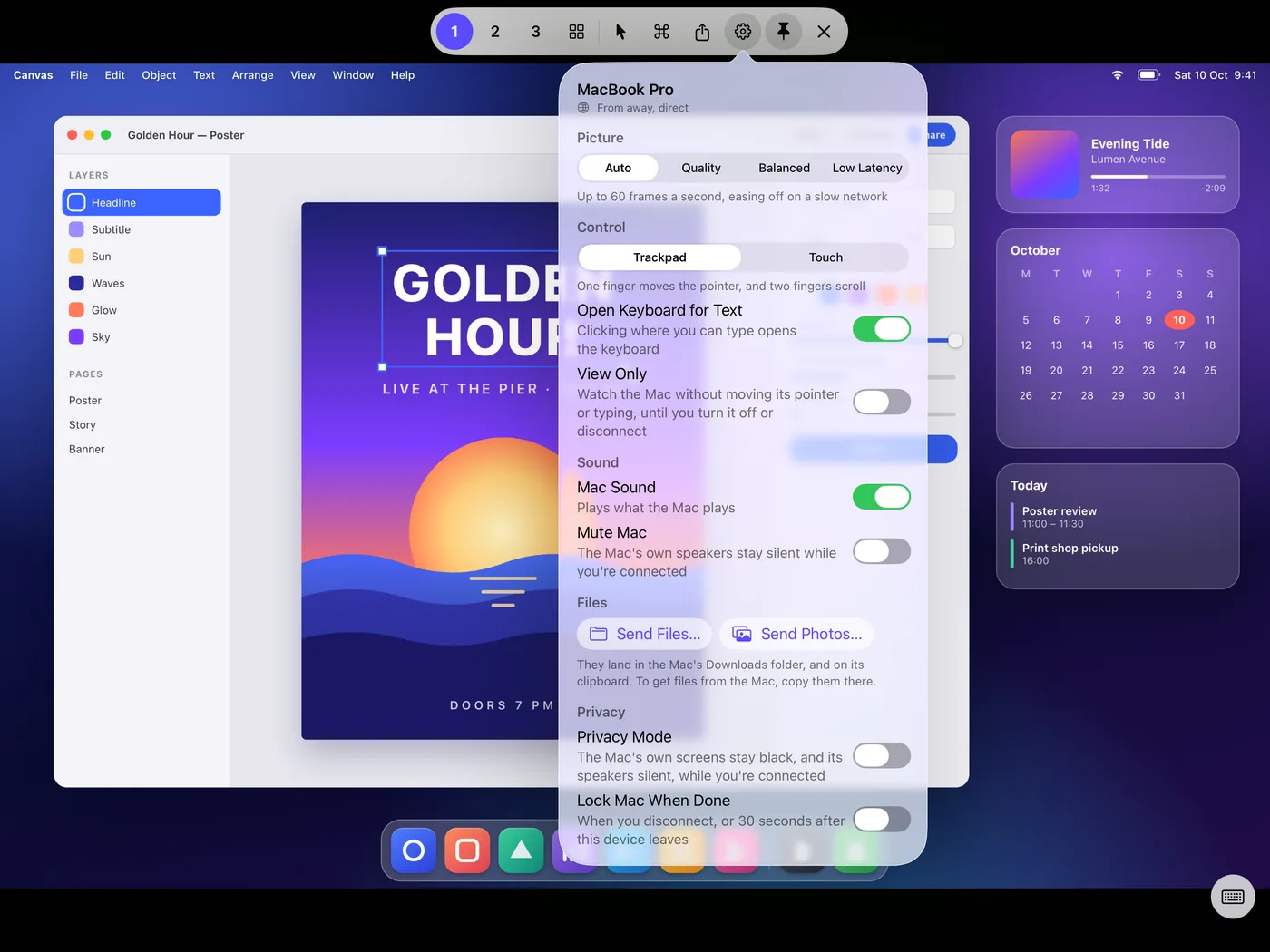 ElseScreen's session settings on an iPad: picture quality, control mode, keyboard, View Only, sound, files, and privacy